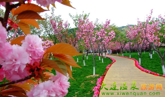 2011B혇Hѻ(ji)